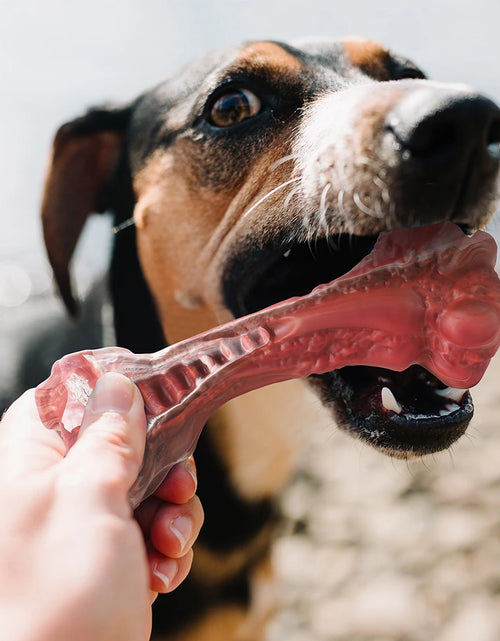 Load image into Gallery viewer, Dog Toys Aggressive Chewers Large Dogs Bone-Shaped Indestructible Dog Toys Nylon Interactive Dog Toys Teeth Cleaning
