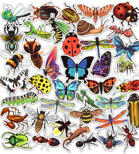 Bug Stickers for Kids Insect Stickers for Scrapbooking for Teachers Stickers for Water Bottles Waterproof Insect Stickers