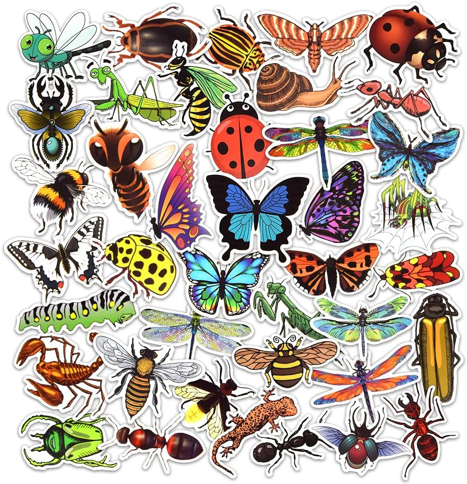 Bug Stickers for Kids Insect Stickers for Scrapbooking for Teachers Stickers for Water Bottles Waterproof Insect Stickers